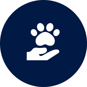 Hands-On Animal Care Experience