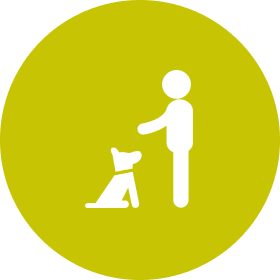 The Beginning of Pet Sitting by Lynn